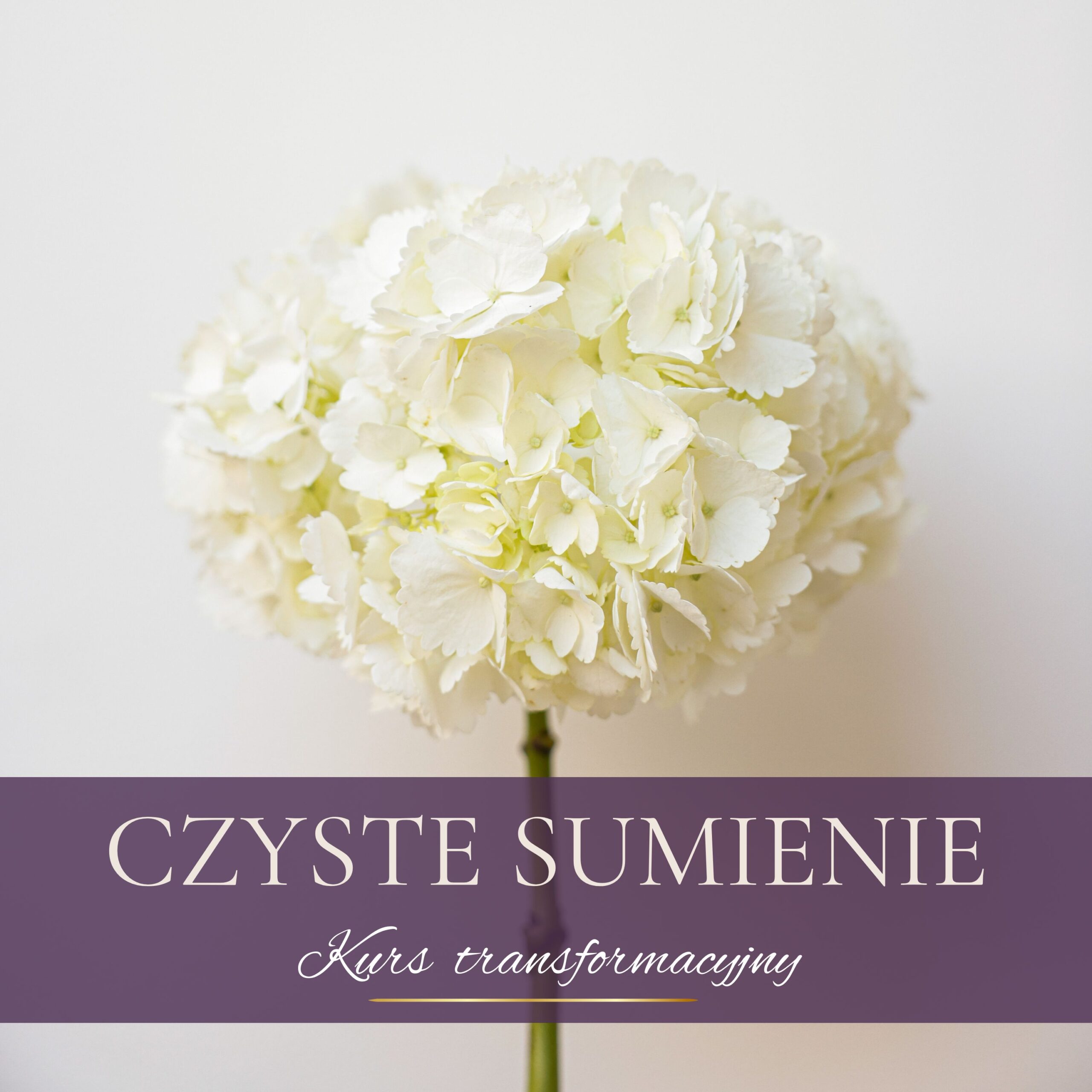 Czyste sumienie